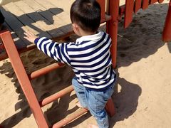 -九龙湖公园