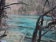 -九寨沟-树正沟