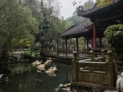-国恩寺