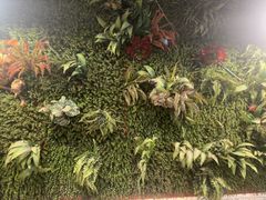 -味之绝热血美蛙鱼火锅(中坝店)