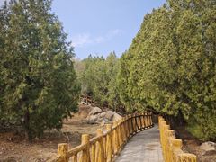 -白水寺森林公园