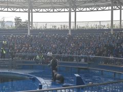 -华夏文旅海洋公园