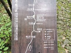 -牛背梁国家森林公园