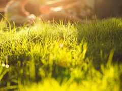 -重庆市江北嘴中央商务区中央公园