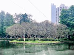 -晓港公园