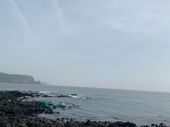-涉地可支