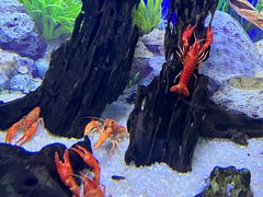 -正佳极地海洋世界