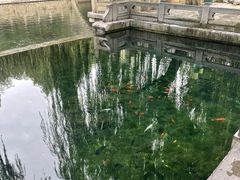 -教师之家赵家羊汤馆(东青龙街店)