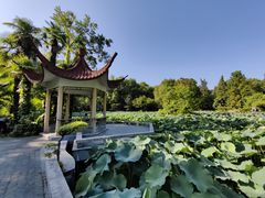 -中国科技大学-专家楼食堂