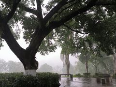 -龙头寺公园
