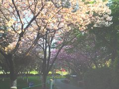 -荆川公园