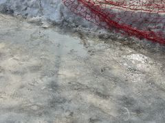 -沈阳奥体冰雪嘉年华