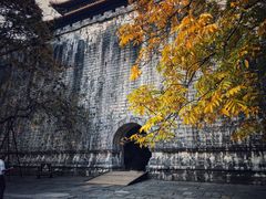 -紫霞湖公园