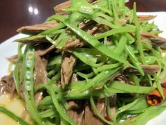 -老兰家传统烧烤炒菜泡馍(小南门店)