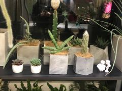 -山下C5cafe(惠通时代广场店)