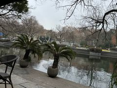 -星巴克(西湖天地店)