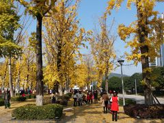 -两江幸福广场