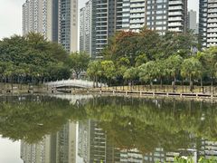 -映月湖公园