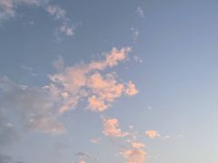 -花城苑广府菜(侨鑫店)