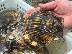 -金沙滩海鲜餐厅·海肠捞饭·手工水饺(梅江龙水园店)