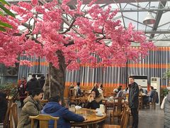 -老磨油饼(高陵店)