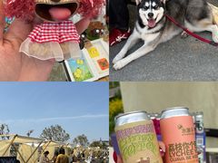 -陶辛水韵