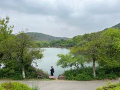 -白马涧龙池景区