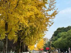 -成都中医药大学(温江校区)