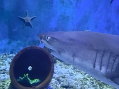 -太平洋海底世界