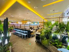 -润园四季椰子鸡火锅(南山海岸城店)