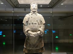 -秦始皇帝陵博物院(兵马俑)
