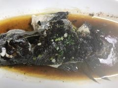 -紫阳富豪大酒店(惠南店)