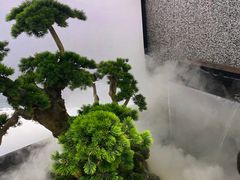-望湘园·洞庭渔宴(浦江欢乐颂店)