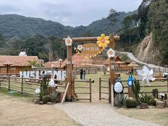 -龙岩森林水乡景区