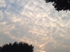 iphone_upload_pic-美景家宴