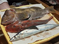 -镹·鱼料理  国产鱼使用店