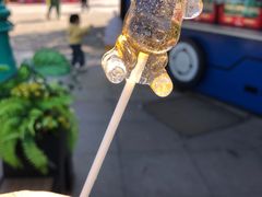 -海合安武汉极地海洋公园