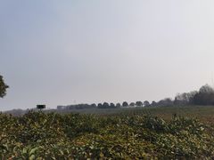 -南京市江宁方山