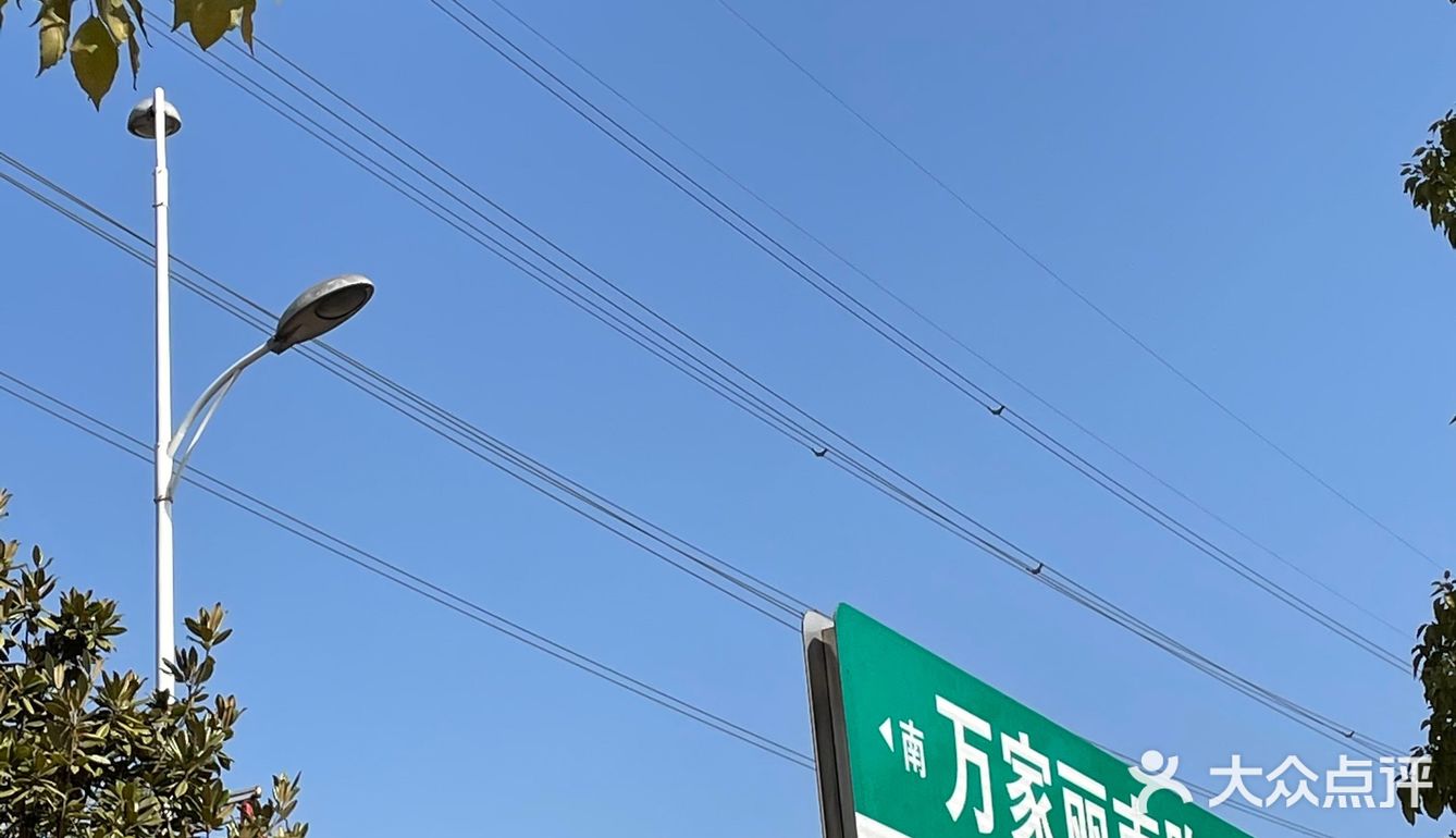 长沙宝藏西餐店，环境也太好了！
