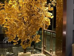 -丽晶大班SPA(大沽店)