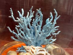 -青岛贝壳博物馆