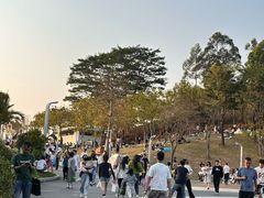-白石龙音乐公园