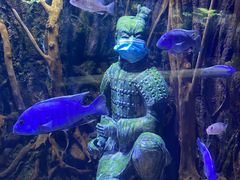 -华夏文旅海洋公园