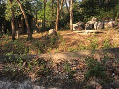 -清迈夜间动物园