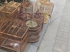 -东水关遗址公园