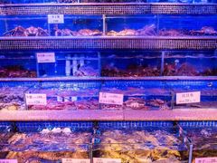 水产区-青蓬蒸汽海鲜·深圳老字号·团建聚会(壹方城店)