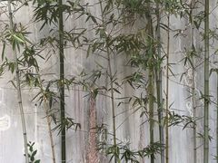 -西湖风景区-江洋畈生态公园