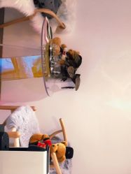 -平行宇宙普拉提健身