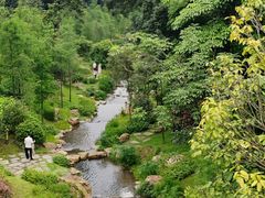 -云溪植物园
