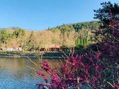 -庐山风景区花径公园